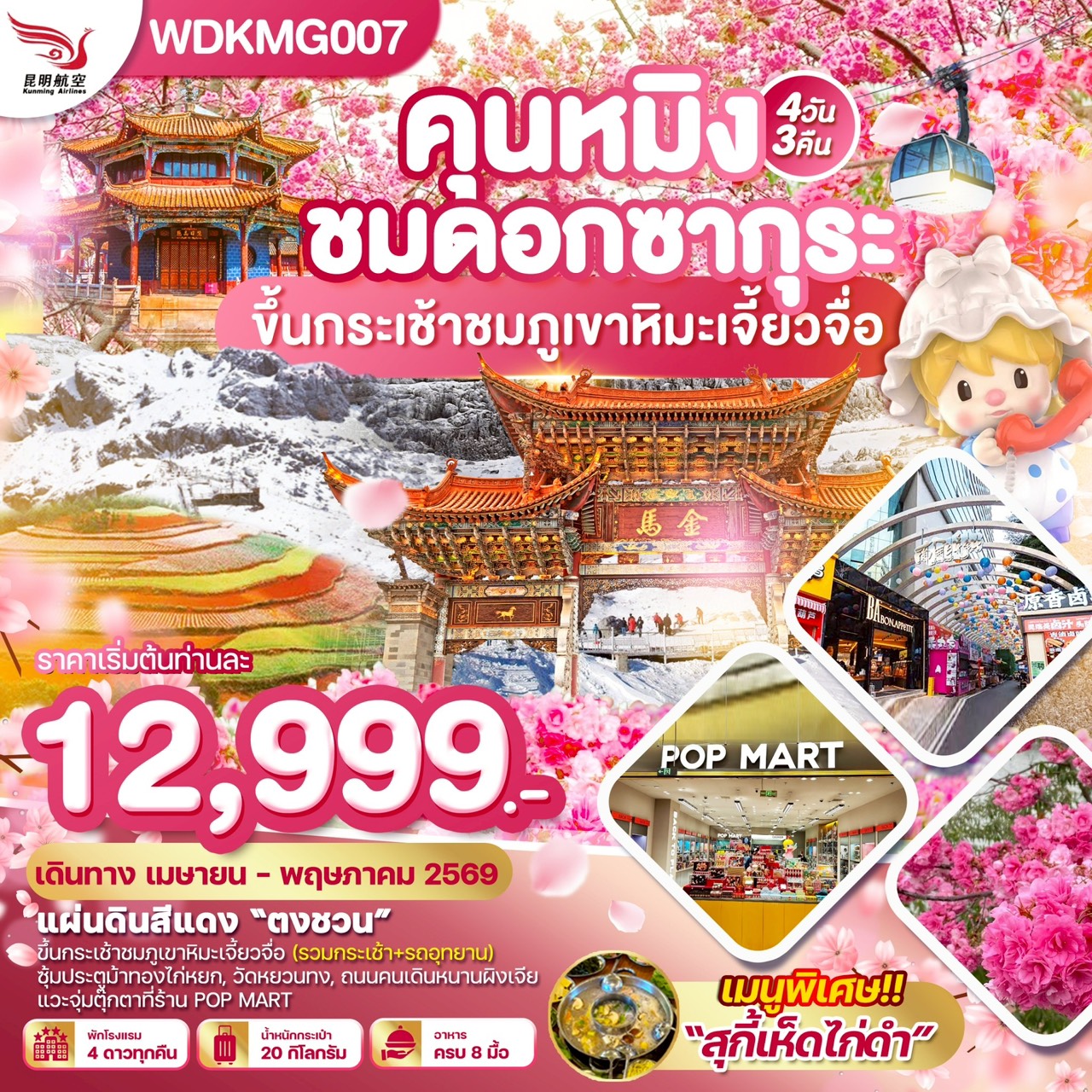 WDKMG006  คุนหมิง ”ชมดอกซากุระบาน“ภูเขาหิมะเจี้ยวจื่อ แผ่นดินสีแดง 4วัน3คืน บิน KY