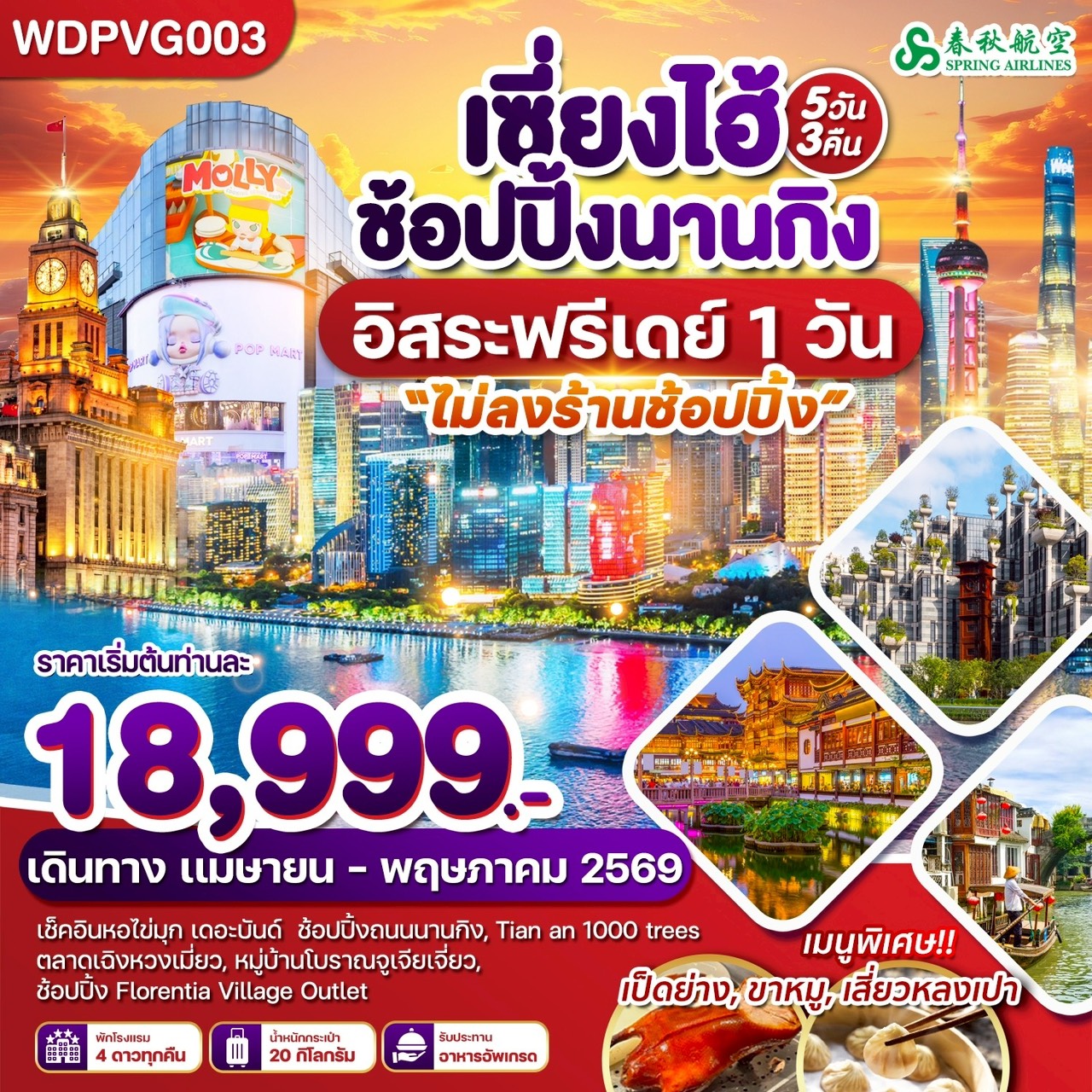 WDPVG003 เซี่ยงไฮ้ ถนนนานกิง FreeDay 5วัน3คืน บิน 9C