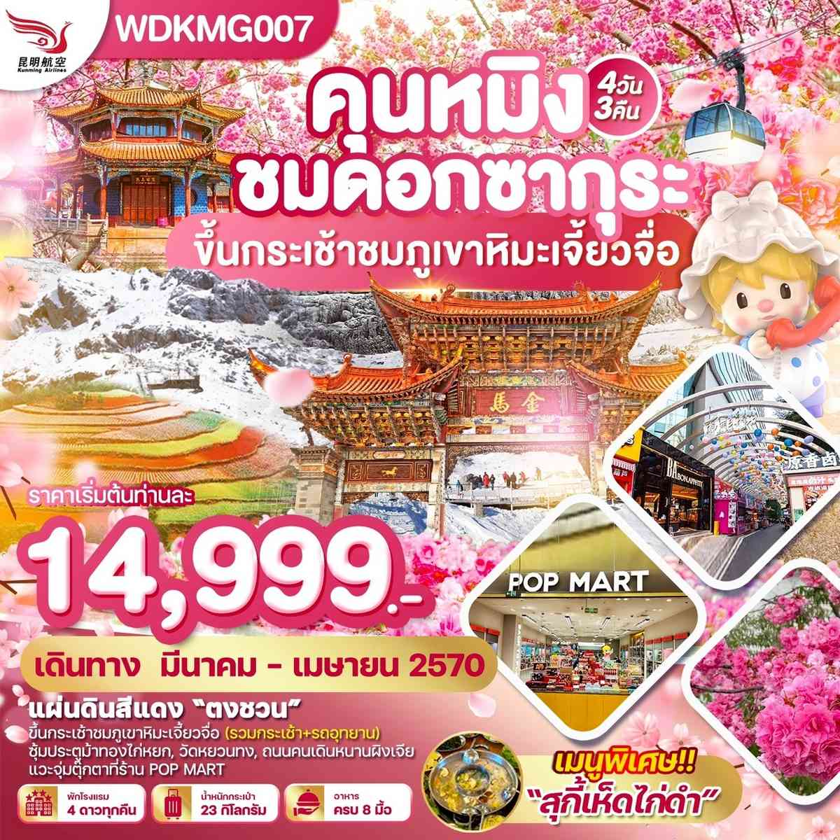 WDKMG007 คุนหมิง ชมดอกซากุระ ขึ้นกระเช้าชมภูเขาหิมะเจี้ยวจื่อ 4วัน3คืน บินKY
