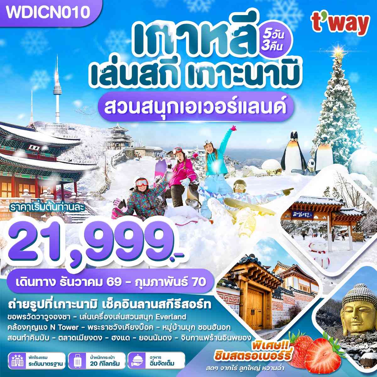 WDICN010 เกาหลี เล่นสกี เกาะนามิ สวนสนุกเอเวอร์แลนด์ 5วัน3คืน บิน TW