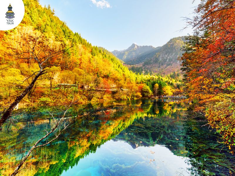 ทะเลสาบ 5 สี (Five Flower Lake) ในจิ่วจ้ายโกว ช่วงใบไม้เปลี่ยนสี