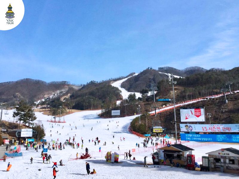 โอ๊ค วัลเล่ย์สกีรีสอร์ท (Oak valley ski resort)
