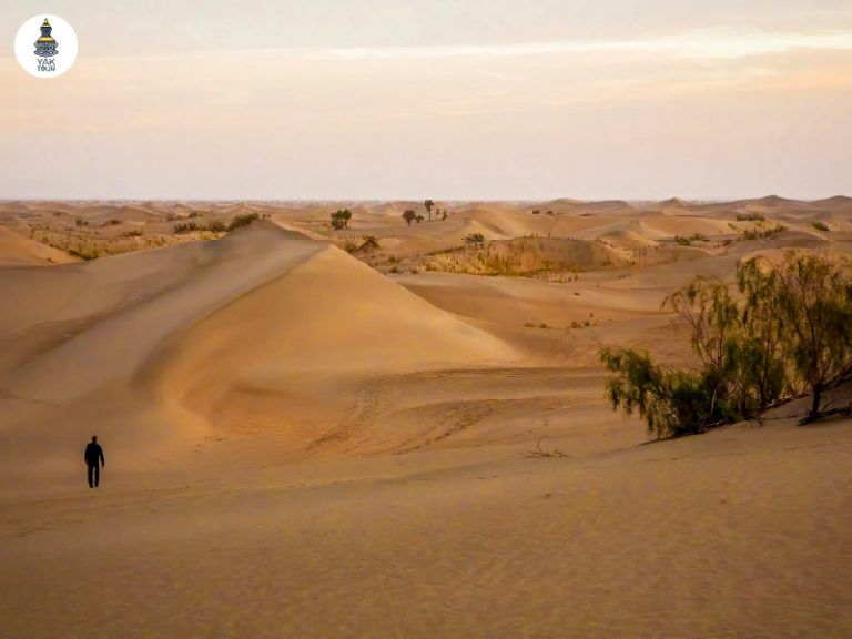 ทะเลทรายทากลามากัน ซินเจียงใต้ เนินทรายกว้างใหญ่กลางเส้นทางสายไหม