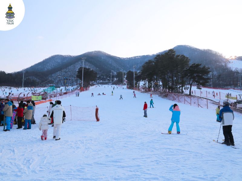 จีซาน ฟอเรสต์สกีรีสอร์ท (Jisan Forest Ski Resort)