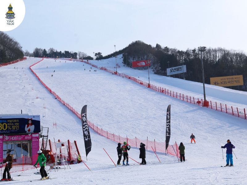 วิวัลดิ ปาร์คสกีรีสอร์ท (Vivaldi Park Ski Resort)