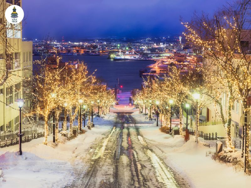 ฮาโกะดาเตะ หิมะปกคลุม ในหน้าหนาว