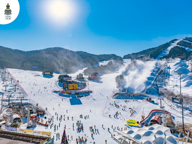 เวลลี่ฮิลปาร์คสกีรีสอร์ท (Welli Hilli Park Ski Resort)