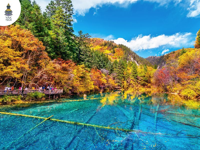 ต้นไม้เปลี่ยนสีสันสวยงามที่ทะเลสาบนกยูง จิ่วจ้ายโกว