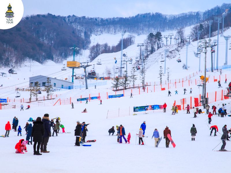 ฟีนิกซ์ พาร์ค สกีรีสอร์ท (Phoenix Park Ski Resort)