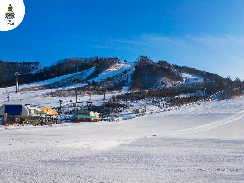อัลเพนเซีย รีสอร์ท (Alpensia Ski Resort)