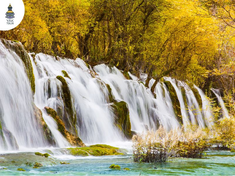 ภาพความสวยงามของน้ำตก Arrow Bamboo