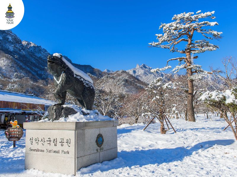 หิมะปกคลุมเมืองอินเจ ประเทศเกาหลีใต้