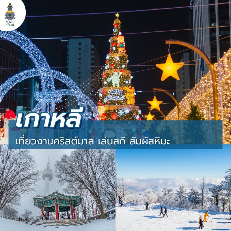 เที่ยวเกาหลีใต้ช่วงปีใหม่ หิมะตก เล่นสกี และบรรยากาศเทศกาลฤดูหนาว