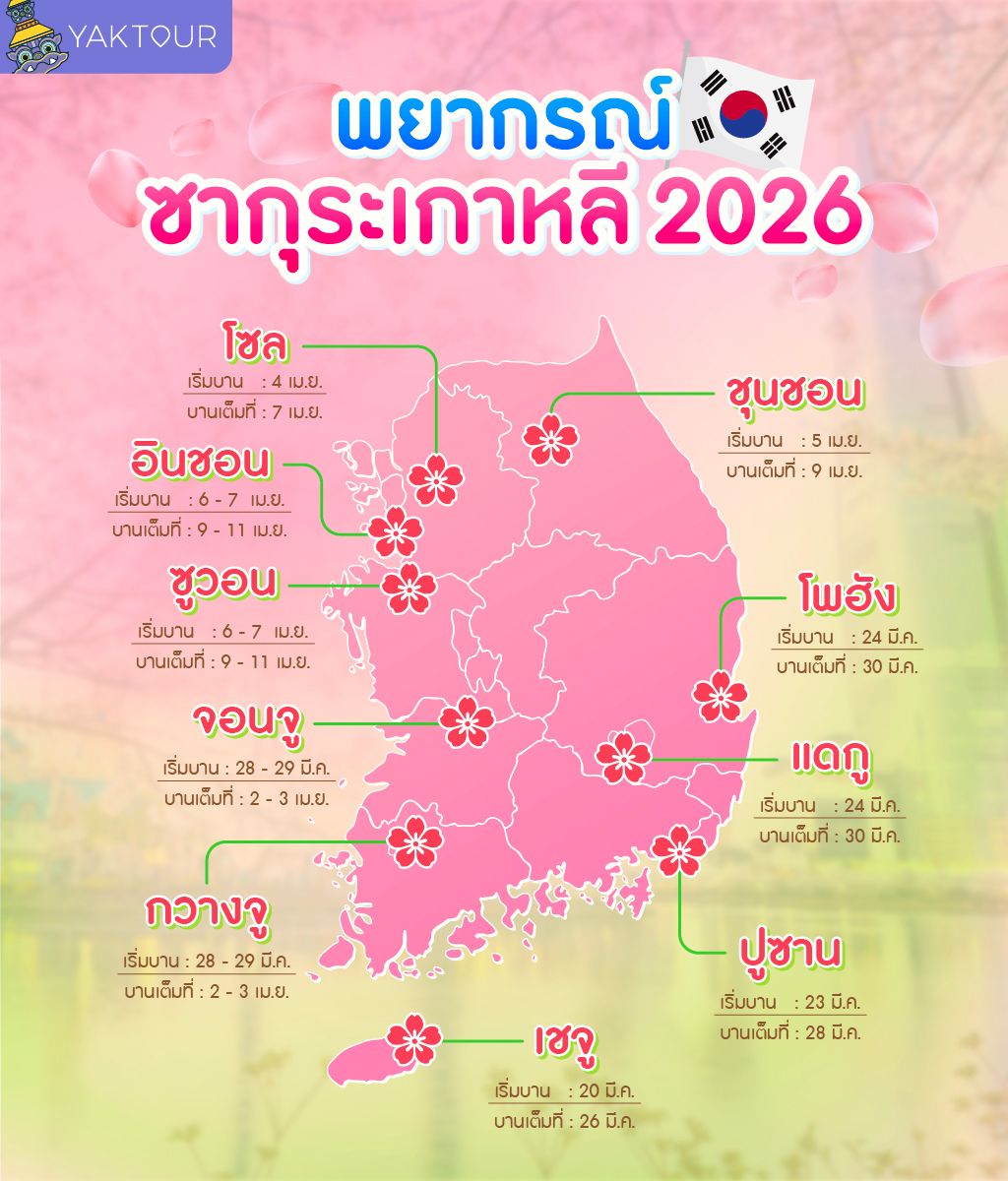10 จุดชมซากุระเกาหลี 2026 สวยโรแมนติกทั่วประเทศ พร้อมพยากรณ์วันบานล่าสุด