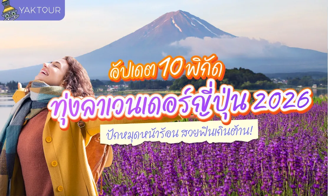 อัปเดต 10 พิกัด ทุ่งลาเวนเดอร์ ญี่ปุ่น 2026 ปักหมุดหน้าร้อน สวยฟินเกินต้าน!