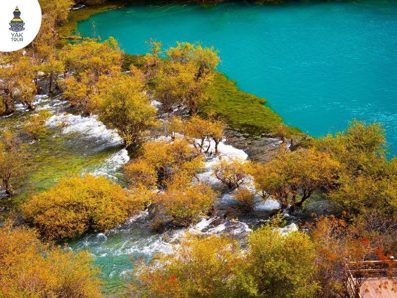 จิ่วจ้ายโกวใบไม้เปลี่ยนสี_10 ทะเลสาบซูเจิ้ง.jpg