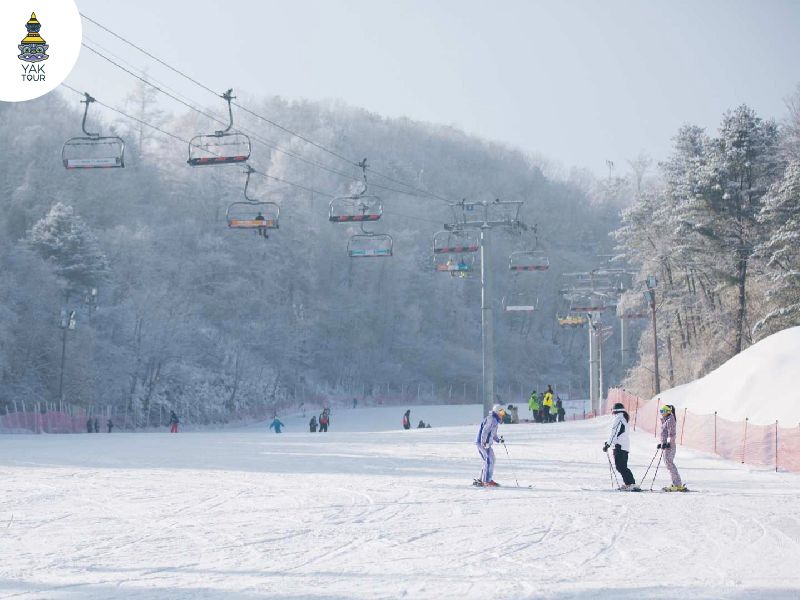 ลานสกีในแดลัง ประเทศเกาหลีใต้