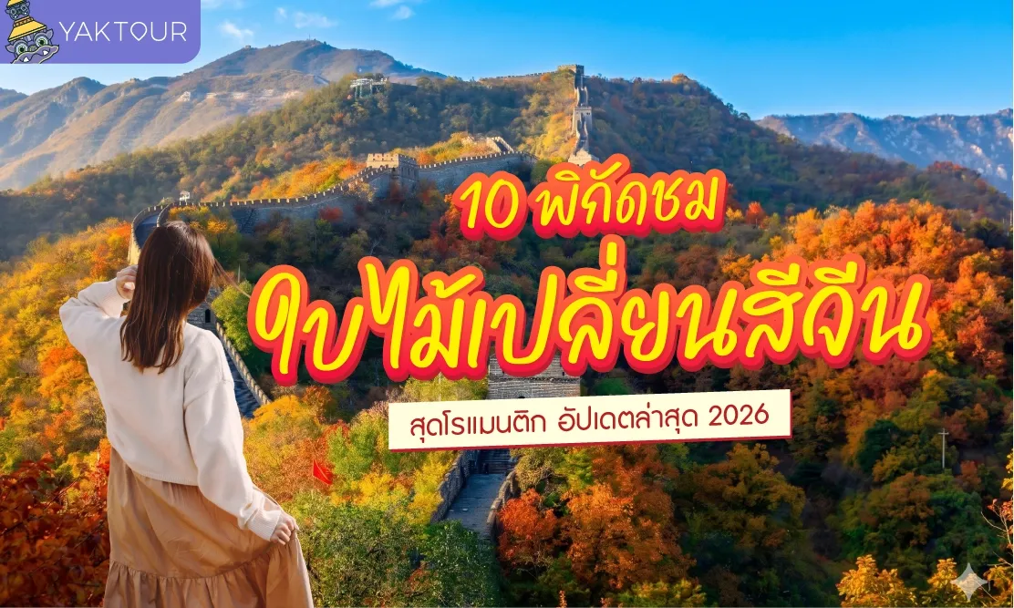 อัปเดต 2026 รวม 10 พิกัด ใบไม้เปลี่ยนสี จีน สุดโรแมนติก เที่ยวจีน เดือนตุลาคม นี้ห้ามพลาด