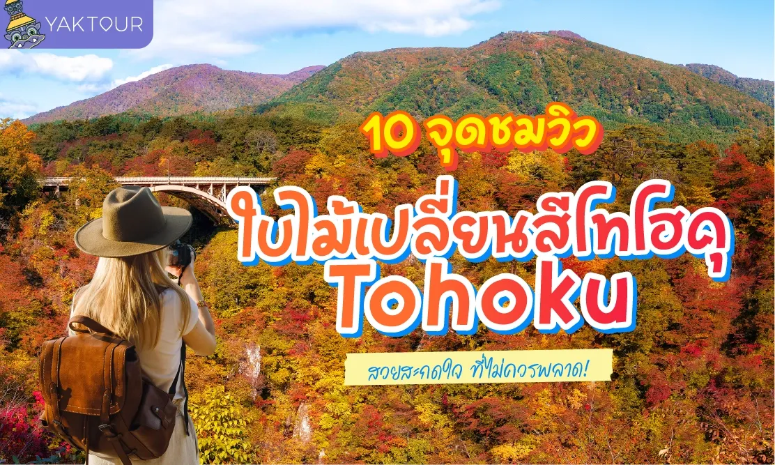 10 จุดชมวิว ใบไม้เปลี่ยนสี โทโฮคุ (Tohoku) สวยสะกดใจ ที่ไม่ควรพลาด!