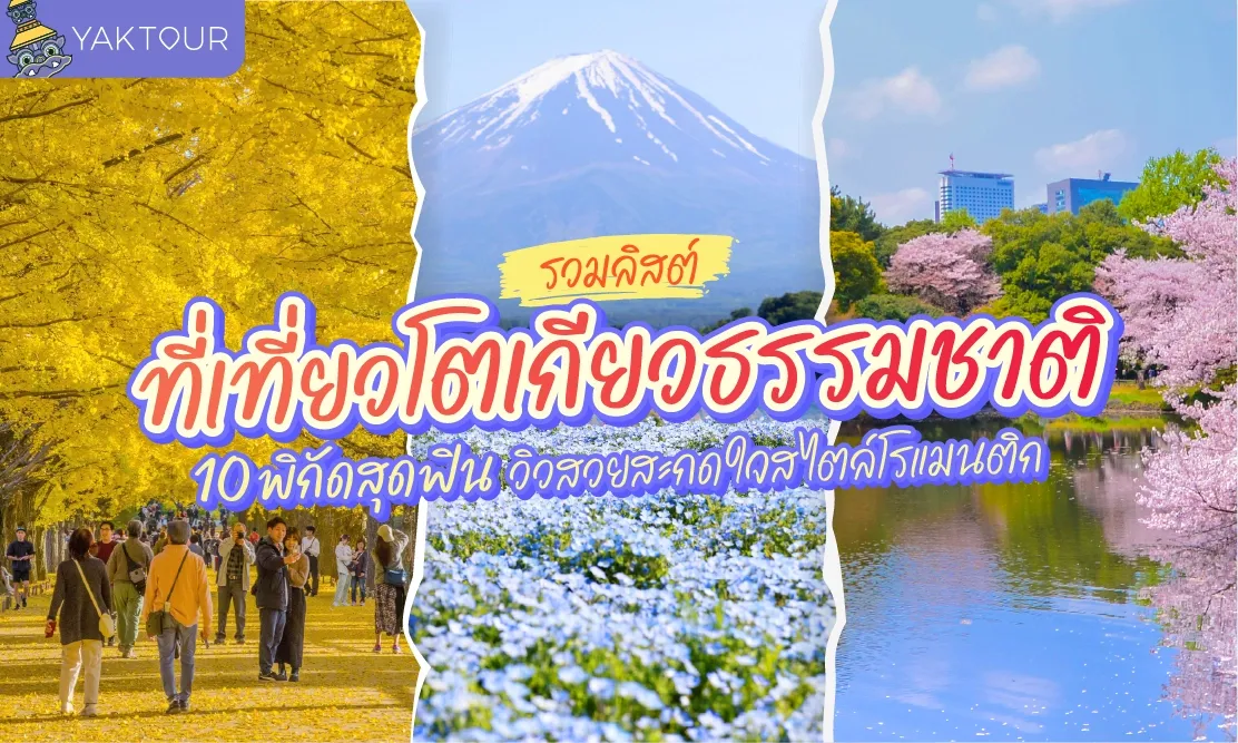 รวมลิสต์ ที่เที่ยวโตเกียว ธรรมชาติ 10 พิกัดสุดฟิน วิวสวยสะกดใจสไตล์โรแมนติก