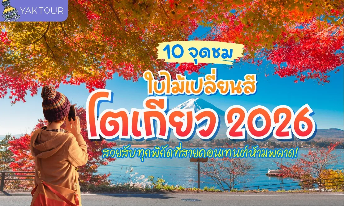 10 จุดชม ใบไม้เปลี่ยนสี โตเกียว 2026 สวยสับทุกพิกัดที่สายคอนเทนต์ห้ามพลาด!