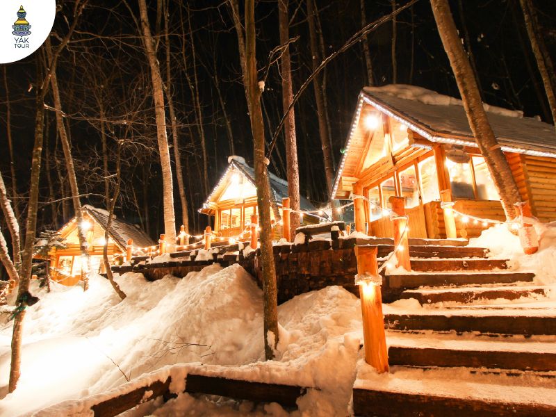 นิงเกิ้ลเทอเรส ฟุราโน่ ฮอกไกโด หมู่บ้านไม้เล็กกลางป่า แหล่งช้อปงานแฮนด์เมด บรรยากาศโรแมนติก