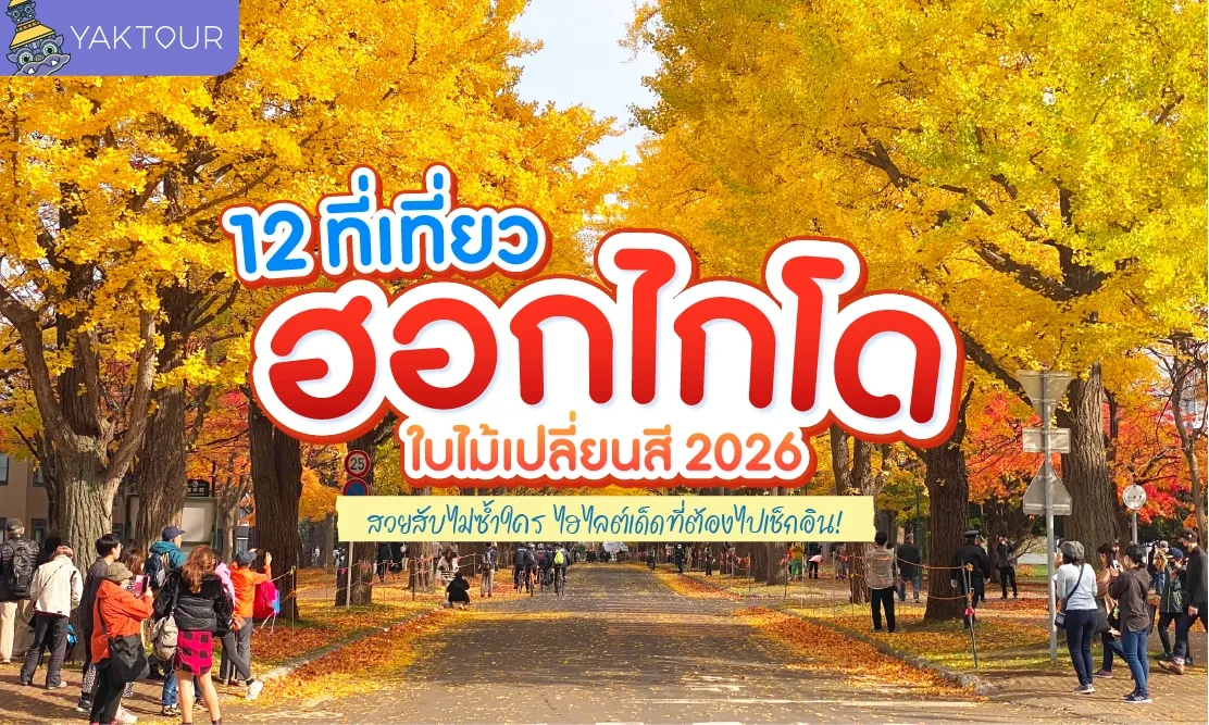 12 ที่เที่ยวฮอกไกโด ใบไม้เปลี่ยนสี 2026 สวยสับไม่ซ้ำใคร ไฮไลต์เด็ดที่ต้องไปเช็กอิน!