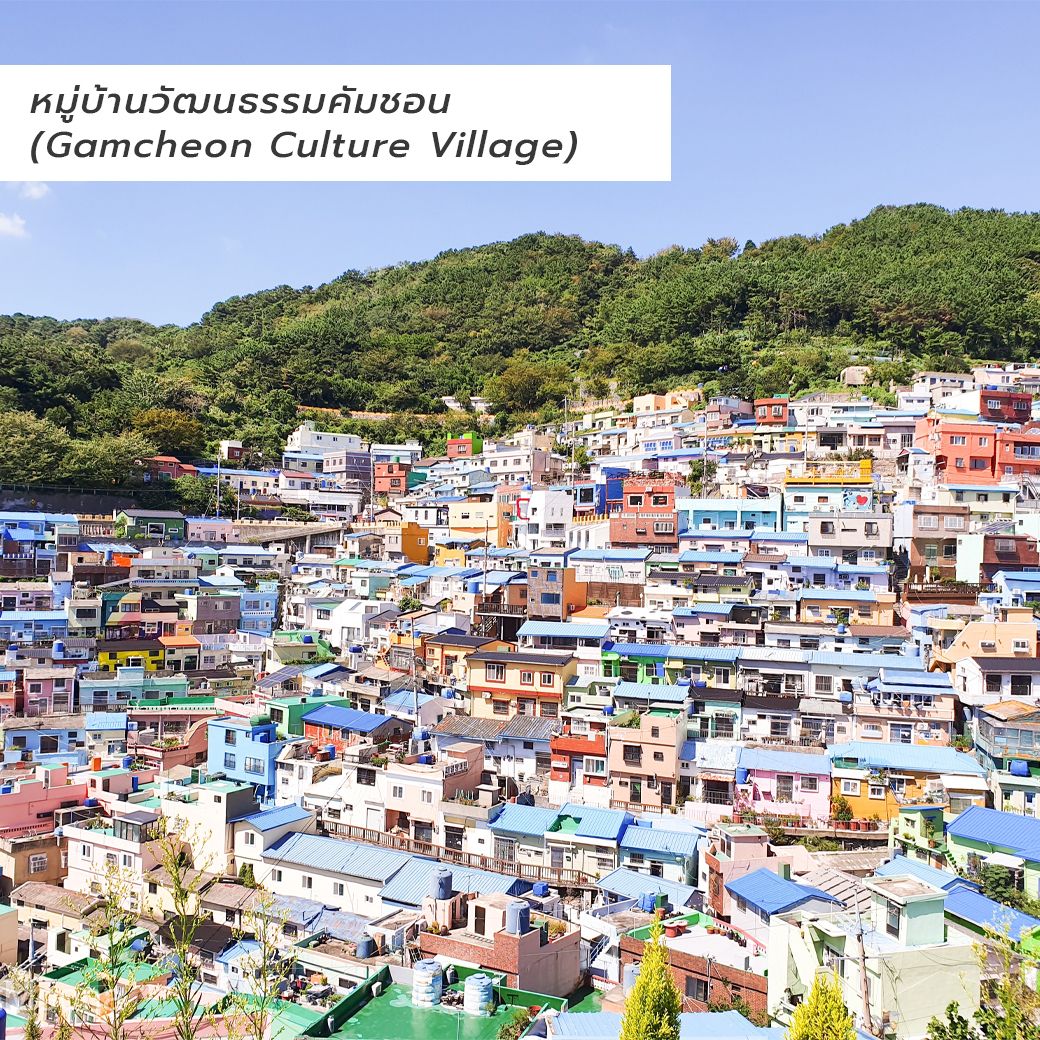 ที่เที่ยวปูซาน-หมู่บ้านวัฒนธรรมคัมชอน