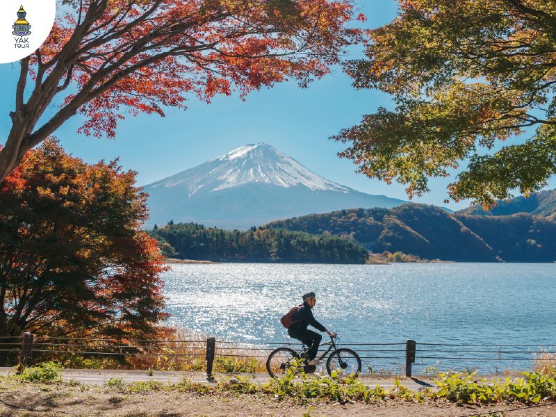 ภูเขาไฟฟูจิและทะเลสาบคาวากุจิโกะ วิวฟูจิซังยอดนิยม เที่ยวญี่ปุ่น 2026