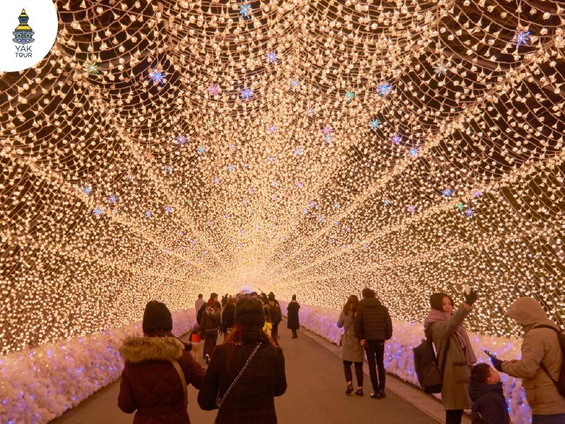 Nabana no Sato 2025 - 2026