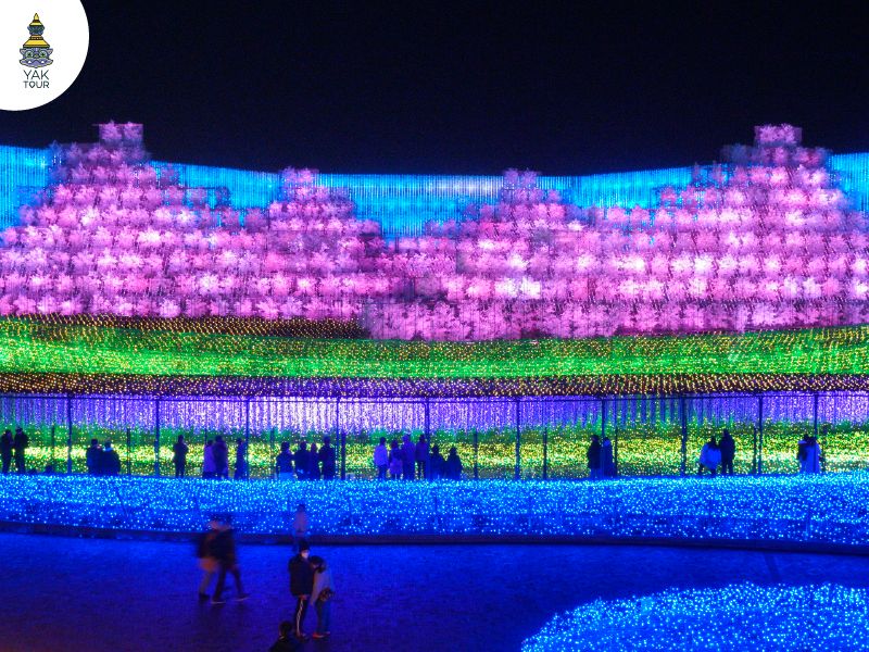 Nabana no Sato 2025 - 2026