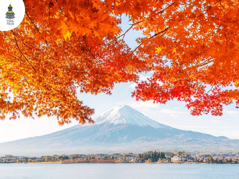 ทิวทัศน์ทะเลสาบคาวากุจิโกะและภูเขาไฟฟูจิในฤดูใบไม้ร่วง