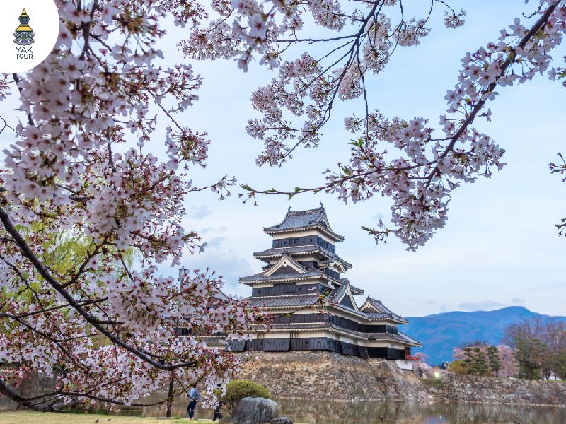 ปราสาทมัตสึโมโตะ ประเทศญี่ปุ่น