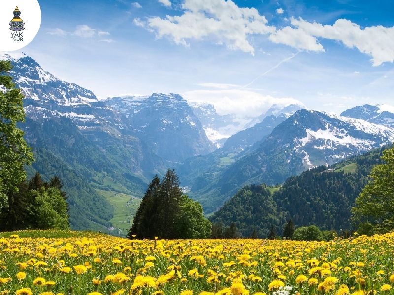 แคชเมียร์ ดินแดนสวิตเซอร์แลนด์แห่งเอเชีย วิวภูเขาและทะเลสาบดาล