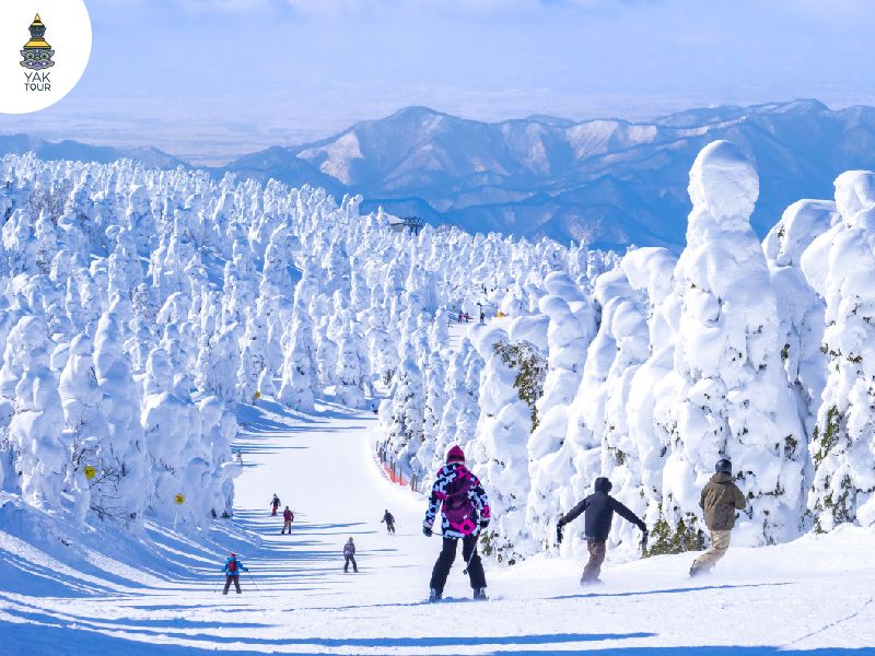 ปีศาจหิมะภูเขาซะโอะ ประเทศญี่ปุ่น