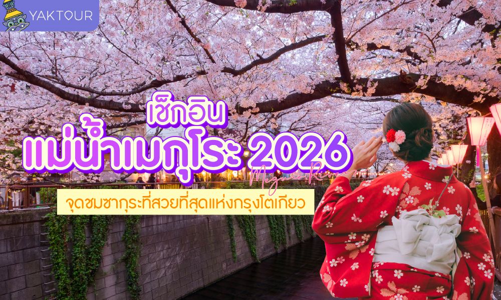 แม่น้ำเมกุโระ จุดชมซากุระที่ไม่ควรพลาดในโตเกียว 2026