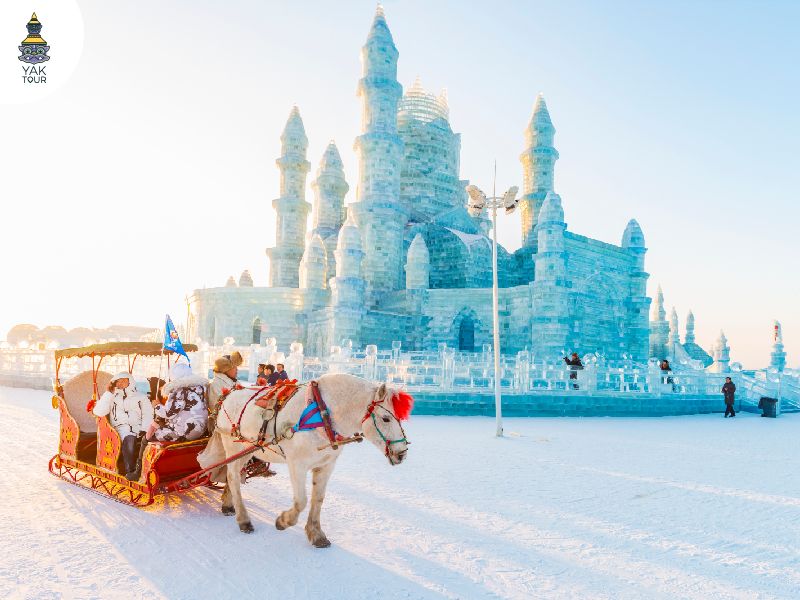 ภาพกิจกรรมนั่งรถลากหิมะ-ขี่ม้าเลื่อนที่งานเทศกาลน้ำแข็งฮาร์บิน