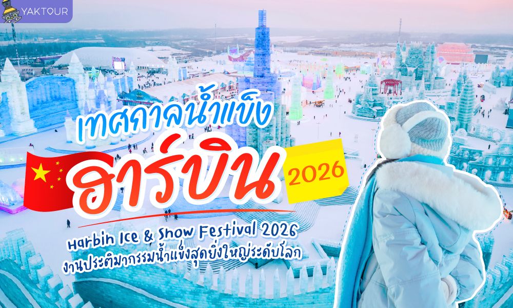 เทศกาลหิมะและน้ำแข็ง ฮาร์บิน 2026 (Harbin Ice & Snow Festival 2026)  งานประติมากรรมน้ำแข็งสุดยิ่งใหญ่ระดับโลก