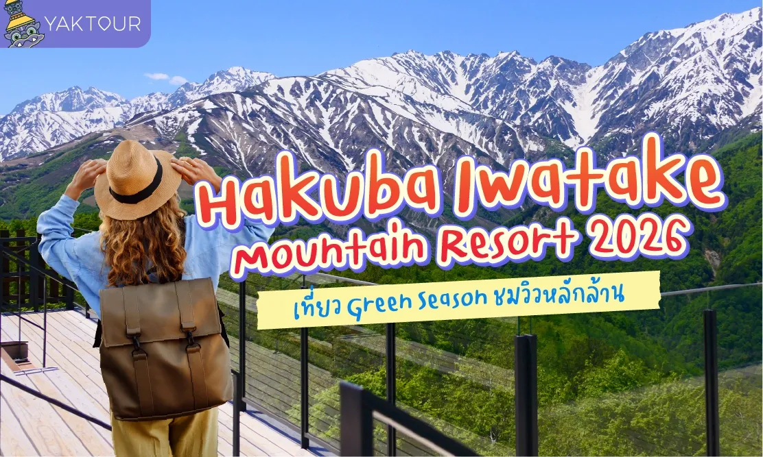 Hakuba Iwatake Mountain Resort 2026: คู่มือเที่ยว Green Season วิวหลักล้านที่คุณไม่ควรพลาด