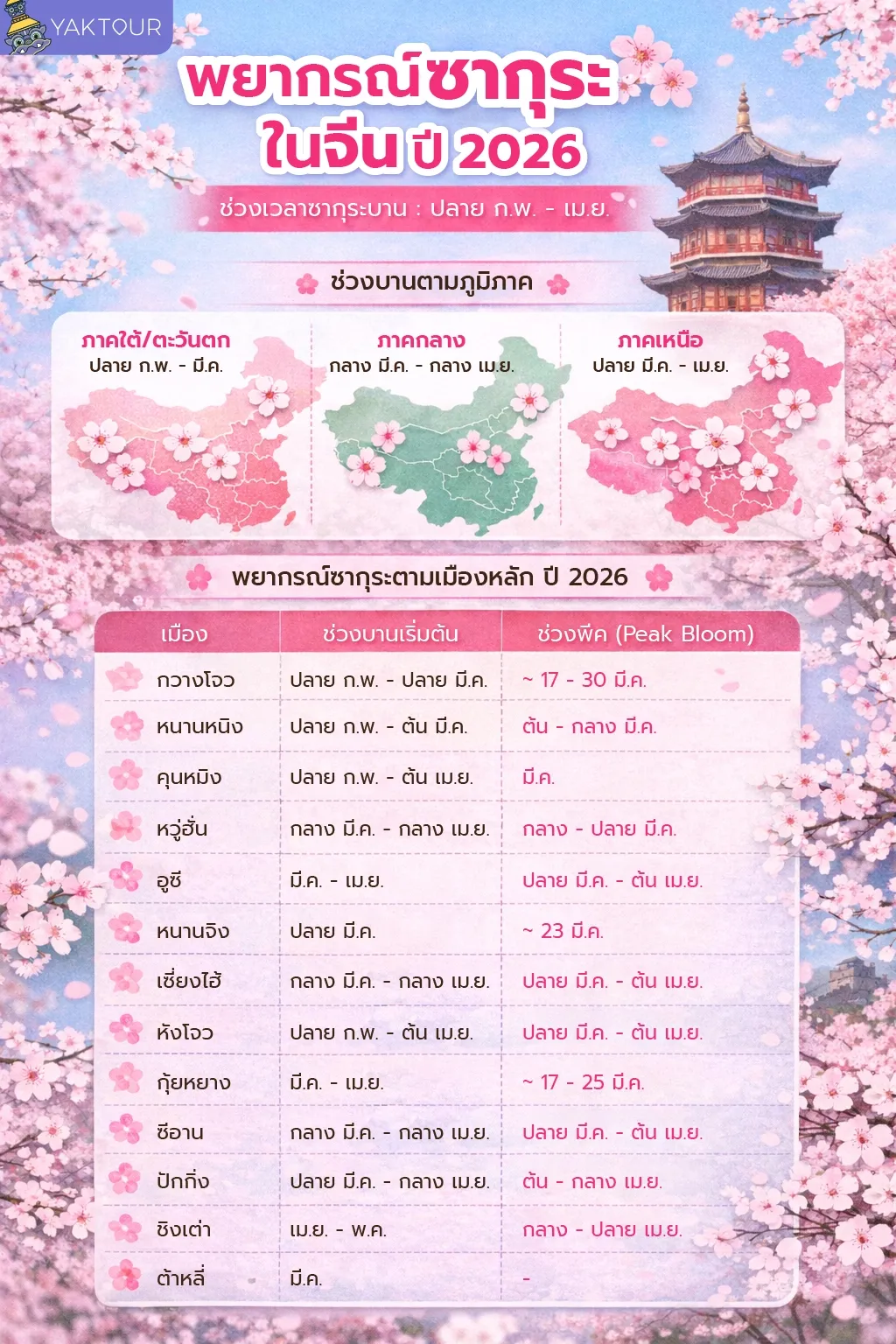 ตารางสรุปช่วงเวลาซากุระบานและช่วงพีคบานสะพรั่งในเมืองต่างๆ ของประเทศจีนปี 2026 แบ่งตามภูมิภาค