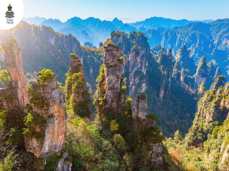 เขาเทียนจื่อซาน ภูเขาหินทรายแท่งสูง วิวทะเลหมอก จางเจียเจี้ย