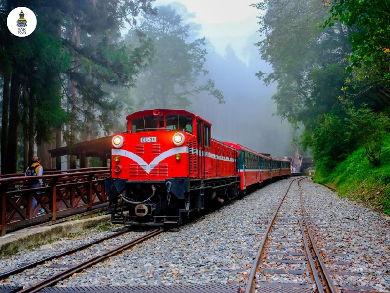 เที่ยวไต้หวันเดือนเมษายน ที่อาลีซาน