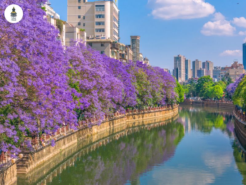 ทิวทัศน์ริมแม่น้ำปานหลงในเมืองคุนหมิงช่วงฤดูใบไม้ผลิ