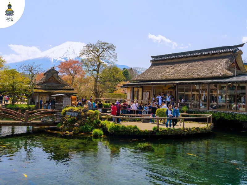 หมู่บ้านโอชิโนะฮักไก หมู่บ้านน้ำใสวิวภูเขาไฟฟูจิ ที่เที่ยวญี่ปุ่น