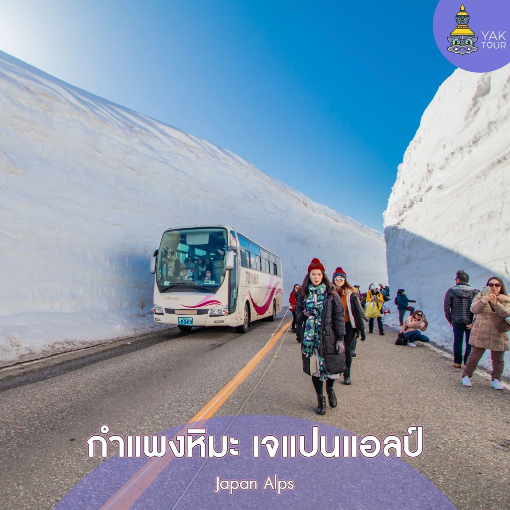 เส้นทางเดินชมกำแพงหิมะ Snow Wall Walk ที่สูงตระหง่านบนเทือกเขาทาเตยามะ