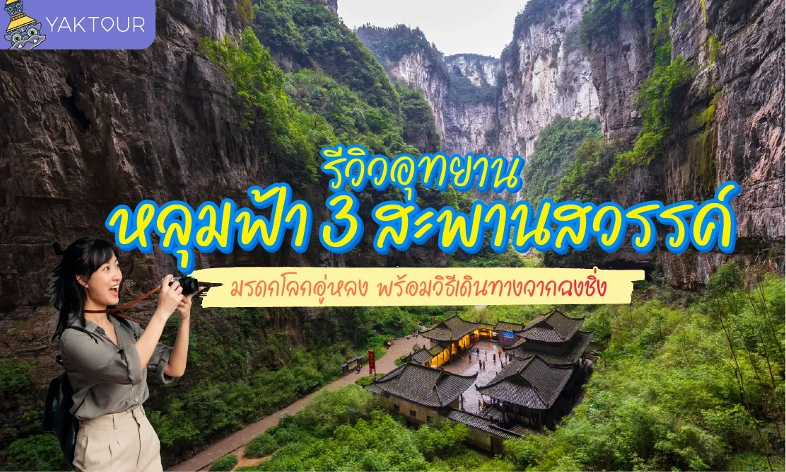  รีวิว อุทยานหลุมฟ้า 3 สะพานสวรรค์ มรดกโลกอู่หลง พร้อมวิธีเดินทางจากฉงชิ่ง