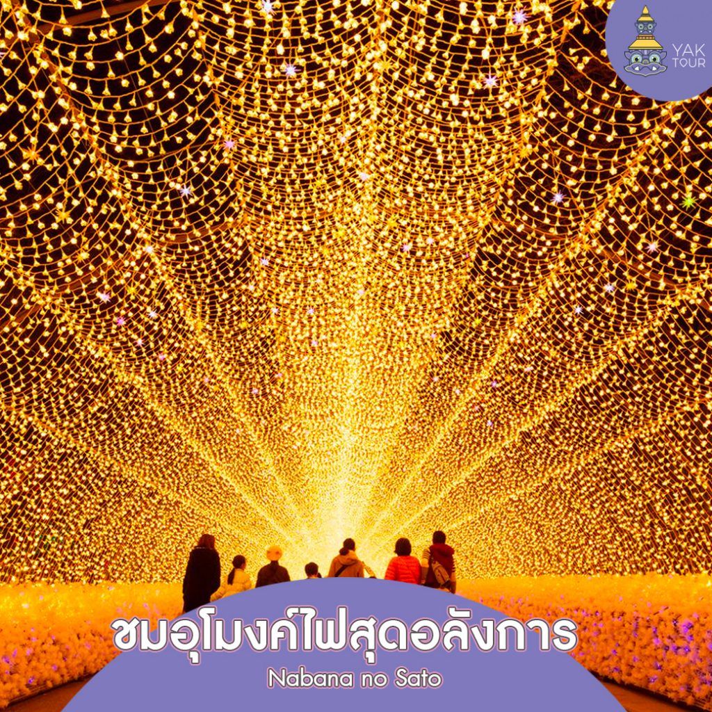 อุโมงค์ไฟ Tunnel of Light สุดอลังการในงานเทศกาล Nabana no Sato ที่เที่ยวญี่ปุ่น เดือนพฤษภาคม ยอดนิยม