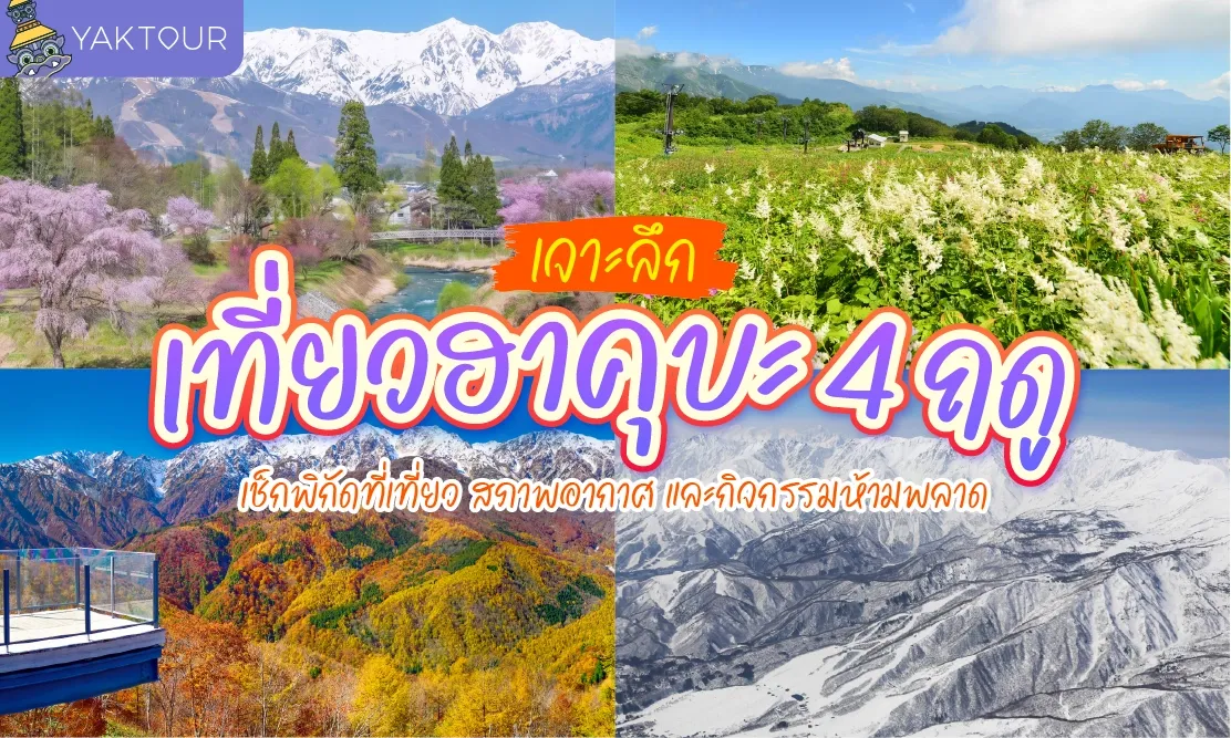 เจาะลึกเที่ยวฮาคุบะ 4 ฤดู: เช็กพิกัดที่เที่ยว สภาพอากาศ และกิจกรรมห้ามพลาด