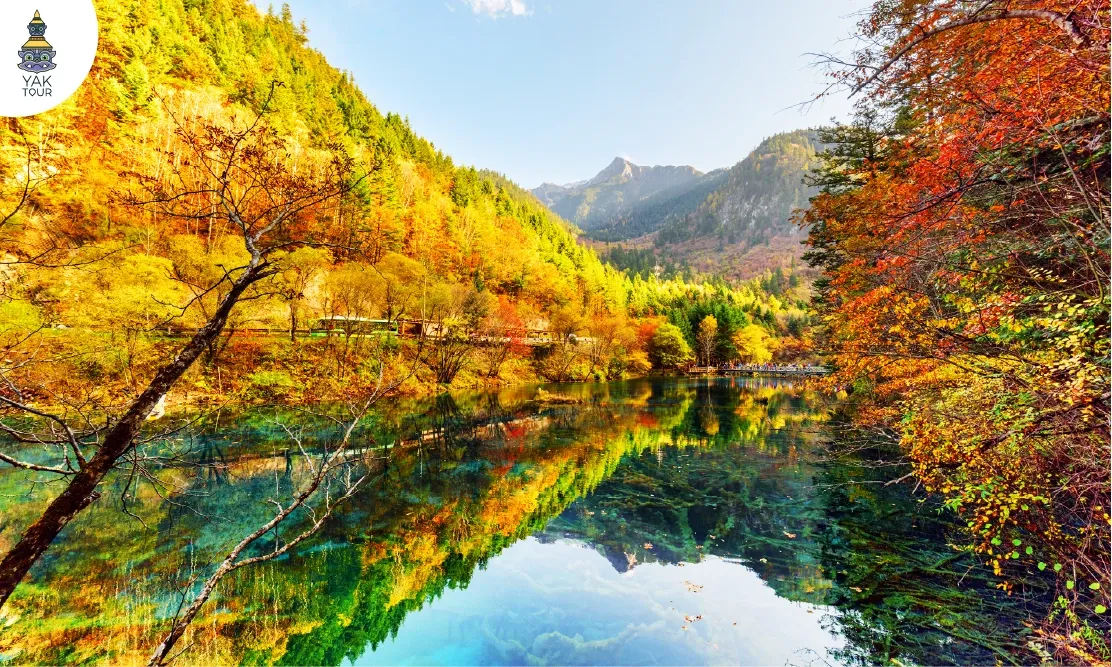 จิ่วจ้ายโกว ใบไม้เปลี่ยนสี ที่ทะเลสาบ 5 สี ทัศนียภาพน้ำใสสะท้อนเงาป่าเปลี่ยนสีแดงทอง
