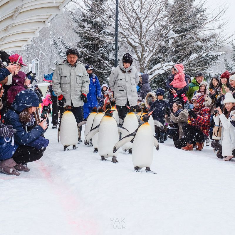 พาลูกเที่ยวปิดเทอม_ฮอกไกโด